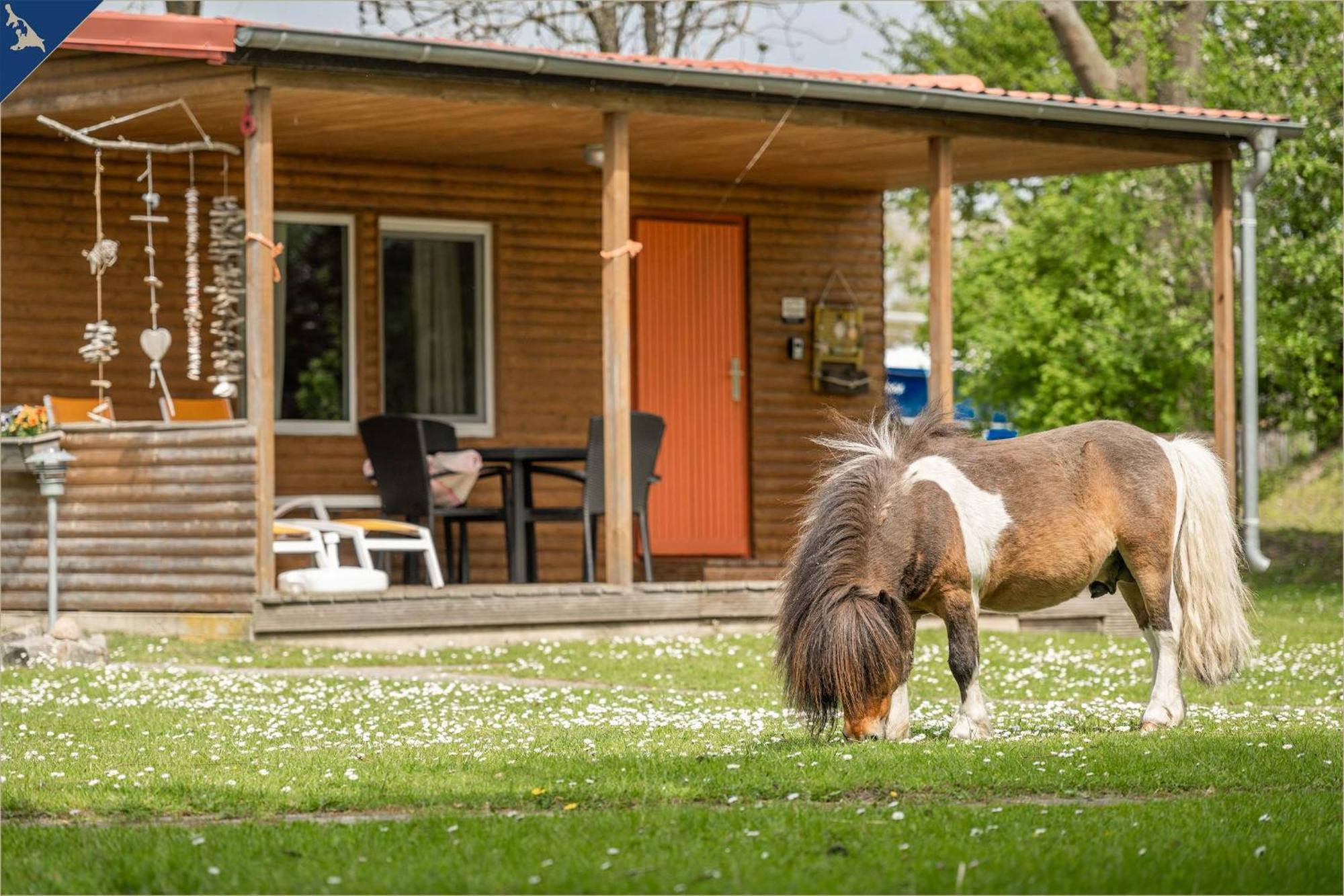 Ferienresort Moewenort Luetow Bungalow 1 Lutow Екстер'єр фото